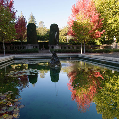 Beaulieu Garden: Sunken Garden