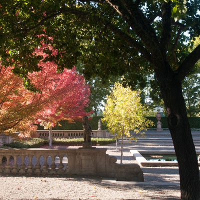 Beaulieu Garden: Autumn trees in the Sunken Garden