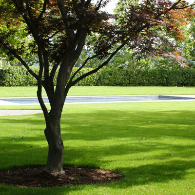 Beaulieu Garden: Swimming pool and lawn