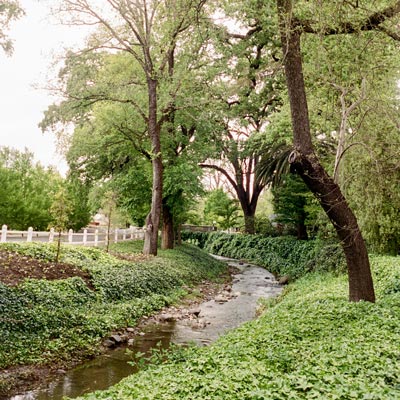 Beaulieu Garden: Bear Canyon Creek