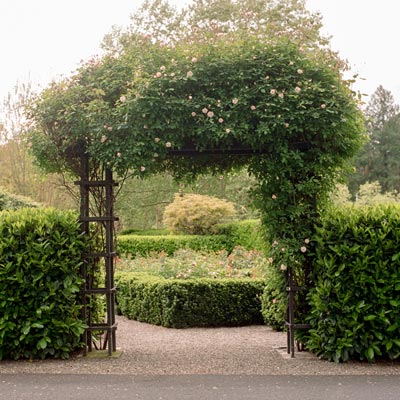 Beaulieu Garden: Rose Garden