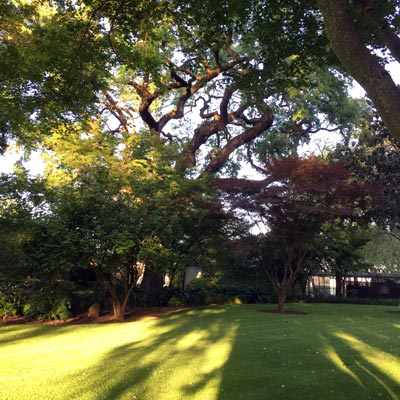 Beaulieu Garden: Park Area