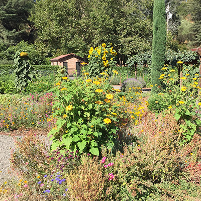 Beaulieu's Culinary Garden