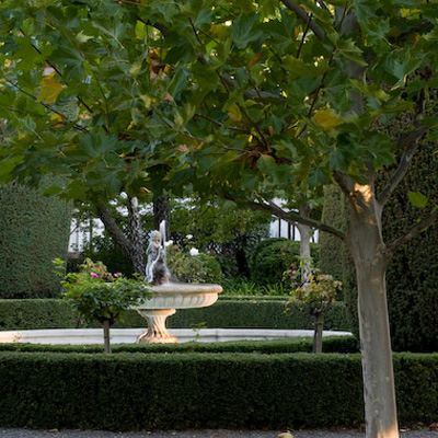 Bealieu Garden's Fountain